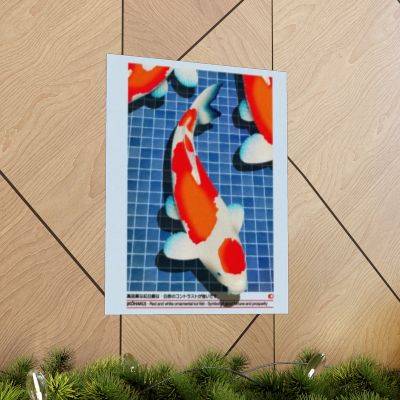 Kohaku